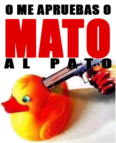 mentirososfcom's tweet photo. Sois todos unos desgracia'os e irresponsables. Aquí teneis una carta para amenazar a vuestros profesores. #DeNada http://t.co/mz1IWJYgi9