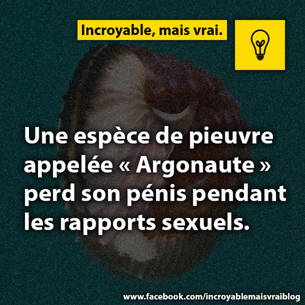 Infos incroyables (@infosincroyable) on Twitter photo 