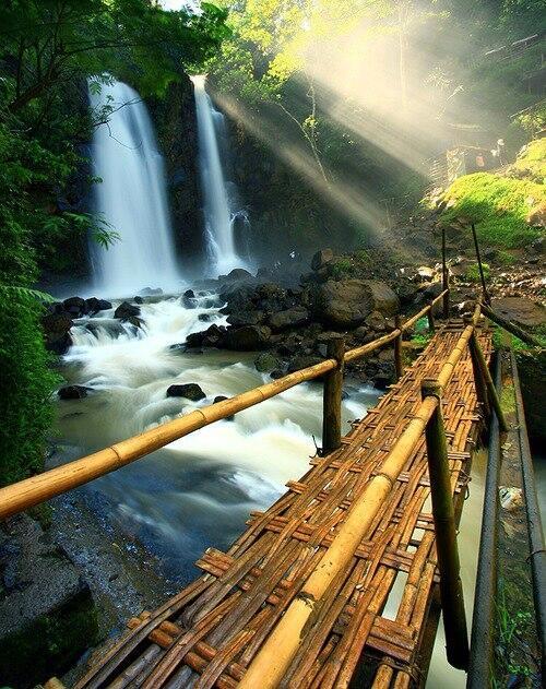 PictureWorId's tweet image. Bamboo Bridge, Indonesia