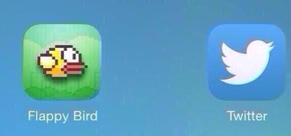 LilWayneeTweets's tweet photo. Two birds that ruined my social life http://t.co/Ib4Q0qtbCE
