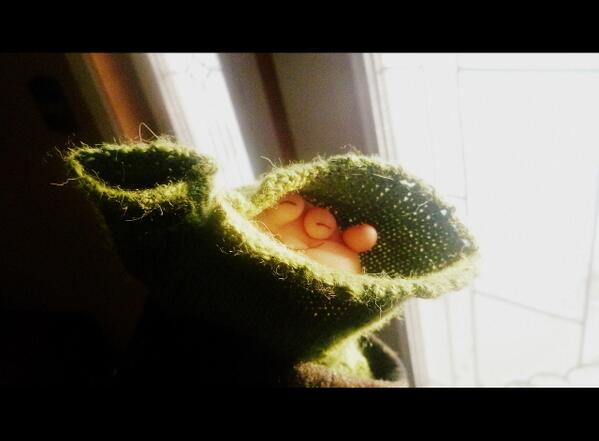 FriendsofStub's tweet image. Stub glove #stayingwarm