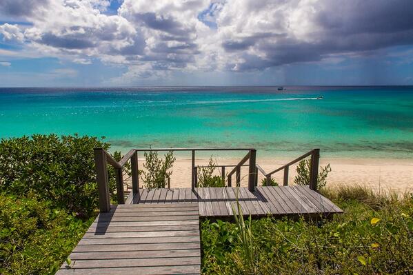 Caribbean Sunshine tweet media