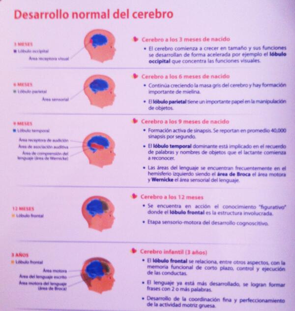 Kids Growth tweet media