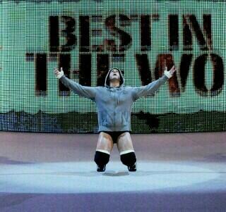 AJPunk100's tweet image. Show me so respect ;( #ThankYouPunk  #PunkMovement #punk i hope all that are rumors i love u punk fuck @wwe @TripleH