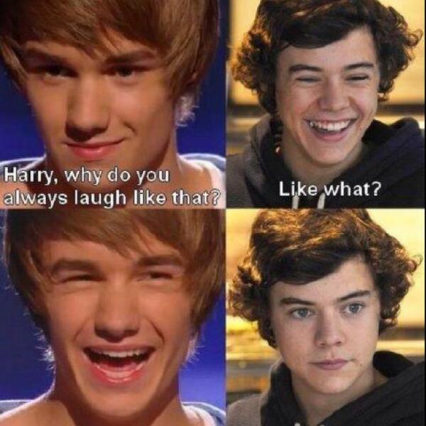 1D_memes1's tweet photo. Hahaha they're so cute! @Harry_Styles @Real_Liam_Payne #OneDirection #Directioners #1D #1D2014 #1DtoAustralia2014 http://t.co/pGiyZTeXfe