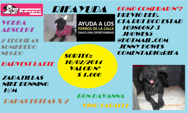 jnee5134's tweet photo. #RIFAYUDA EN BENEFICIO DE MIS RESCATADOS!! 
@DonDatosCl @todomecarga @AngelSiempre @yayafru @SrtaDeLosDatos RT!! http://t.co/RjcsgCfk1B