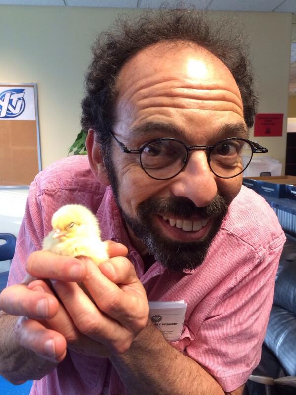 Last week a chick.  This week a horse.  Life's good <a href="/someassemblytv/">SomeAssemblyRequired</a>