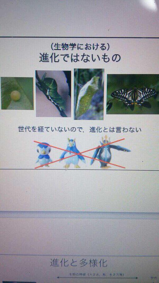 大学の講義で ポケモン進化論 が否定される Togetter