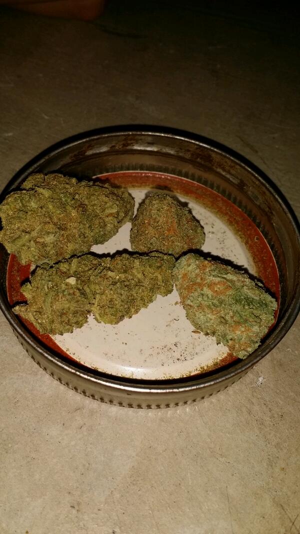 kushKastle's tweet image. Fire