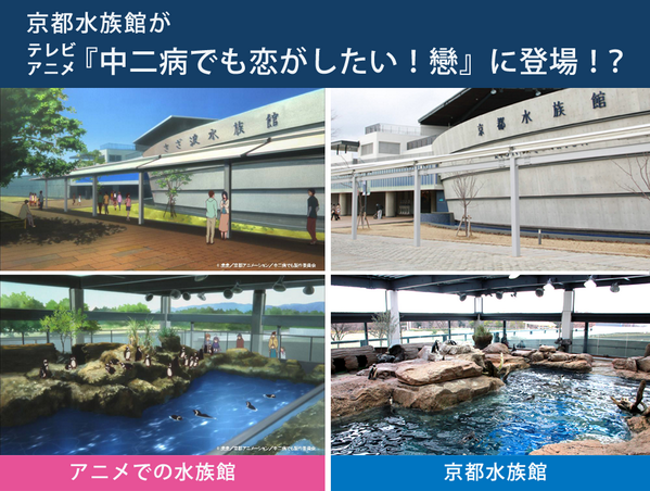 京都水族館 公式 Ar Twitter 先日放送された 中二病でも恋がしたい 戀 の第2話で京都水族館をモデルにした さざなみ水族館 が劇中に登場しました 番組制作時にロケハンに来て頂いただけあって 京都水族館が見事に再現されております 是非見比べてみて