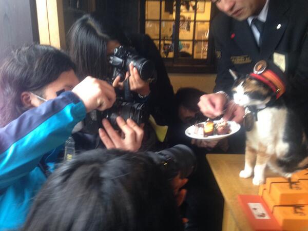 ekichoTAMA's tweet photo. たまチョコ撮影会にゃんご！ http://t.co/bDTRO9x2ph