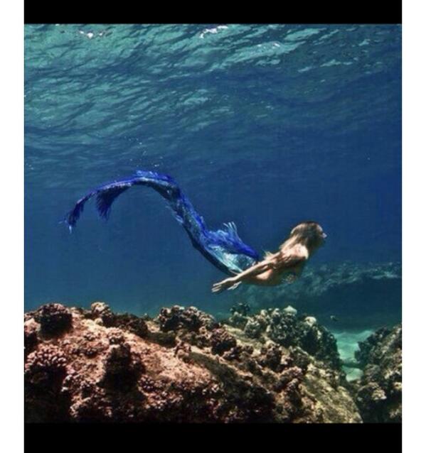 ForebodingLove's tweet image. Mermaid love