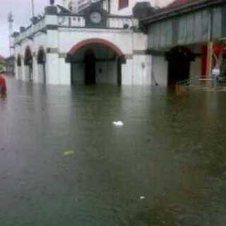 Tawang yuuk berenang