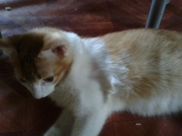 Noradilalias's tweet image. #uyen @pokyeng818