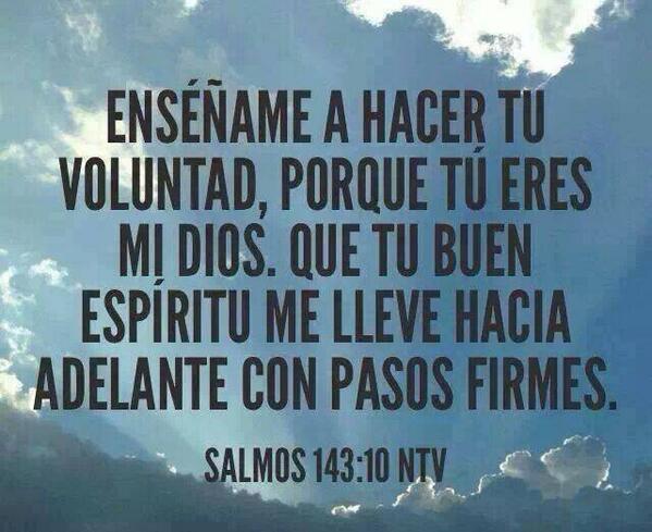 Danieldcha's tweet image. Buen Día.