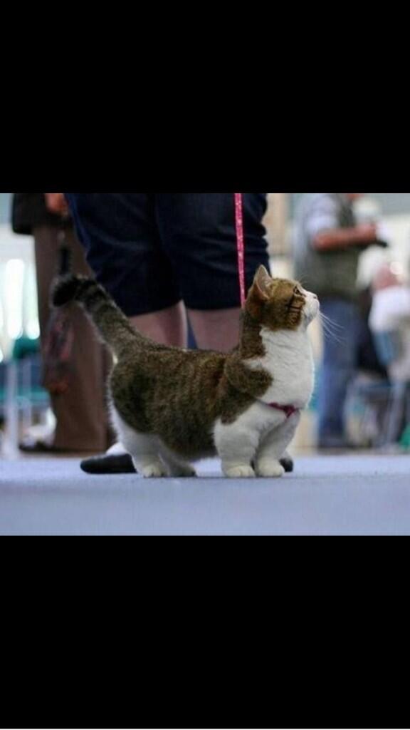 sjonvz's tweet photo. Oh my god.  I want http://t.co/CXHUkLhObP