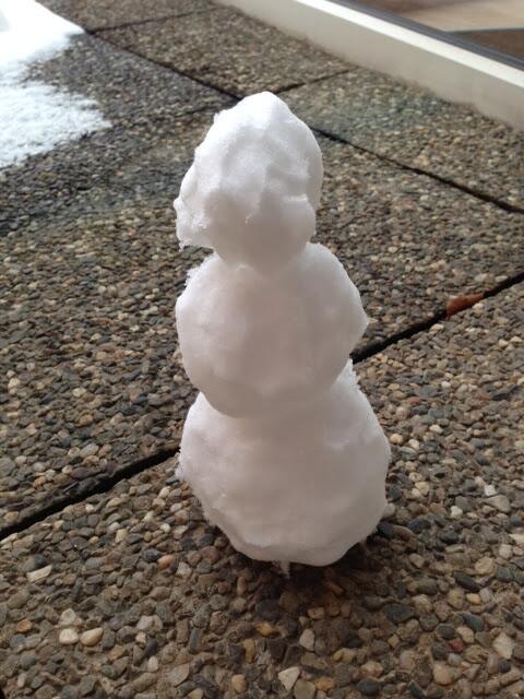 Flow_Reader's tweet image. Our newest colleague! :) #flowteam