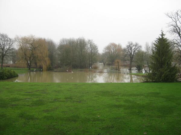 10 years MSc WSPM tweet media