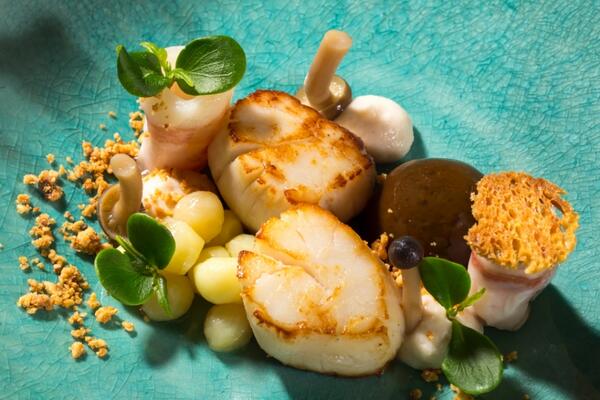 SCALLOPS | MUSHROOMS | TAHOON CRESS - CHEF: <a href="/JorisLaFolie/">Joris Kerkhofs</a> - PHOTO: @detailinbeeld #koppertcress <a href="/ericmiete/">Eric Miete</a> <a href="/rjpbaan/">Rob Baan</a>