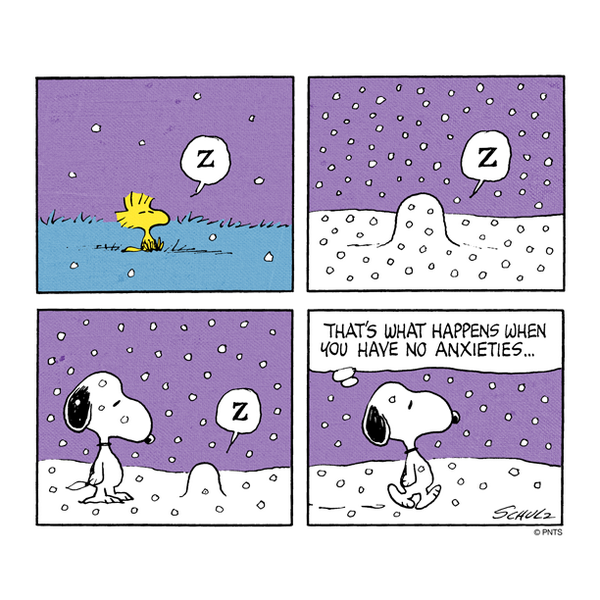 photo Thursday Snoopy Snow thursday with snoopy and woodstock