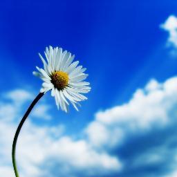 Hello world! #newprofilepic