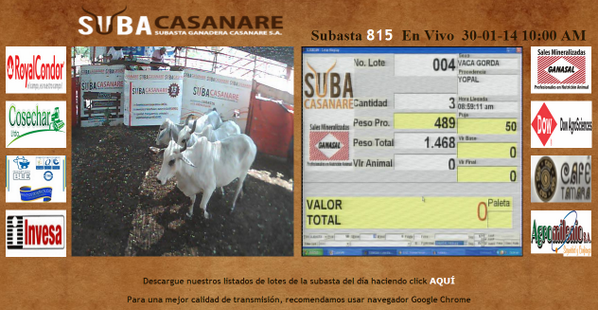 Subacasanare's tweet photo. Más de 1600 animales disponibles hoy en Subasta 815 rodando en estos momentos... http://t.co/9yyuy0vuF4