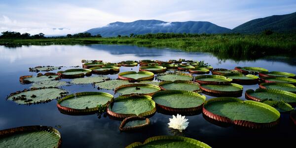 HuffPost's tweet photo. These photos will make you want to book a flight to Brazil right now http://t.co/27rOpj0W4r http://t.co/4QlYR04sXq