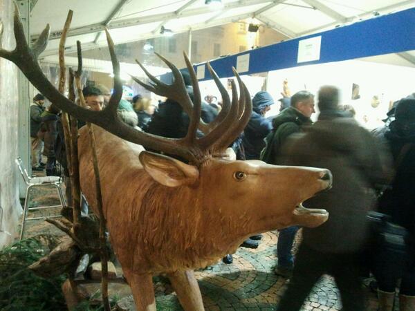 #animalia #santorso2014