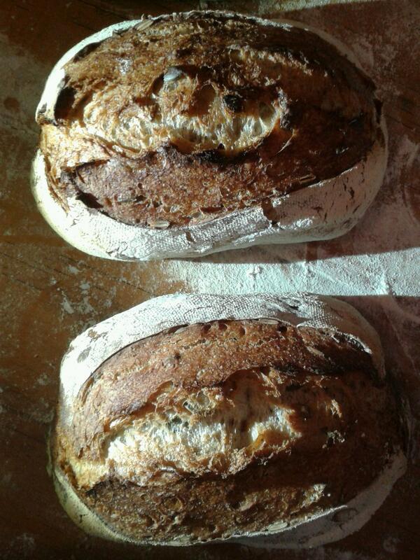 thebreadkiln's tweet image. #Hamelman #rusticbread #yeasted with pumpkin seeds