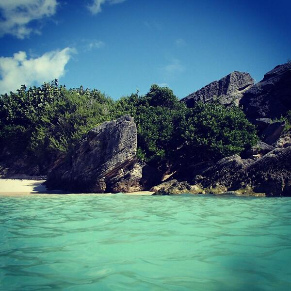 Caribbean Sunshine tweet media