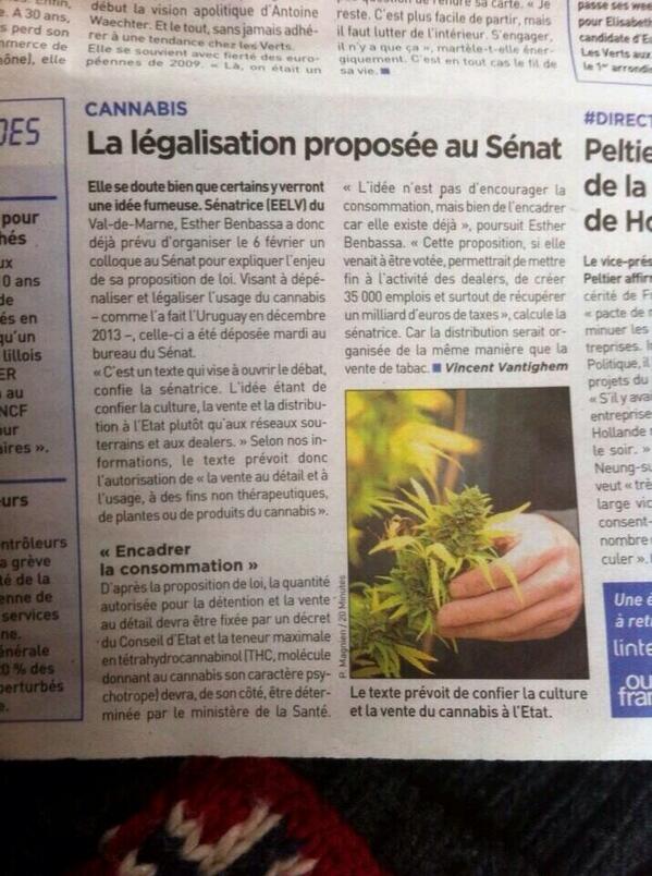 Weed Trust tweet media