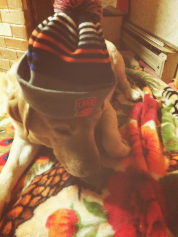 AddressMeAs_Sir's tweet photo. Lets go knicks!!! http://t.co/X9IzAKAFmo
