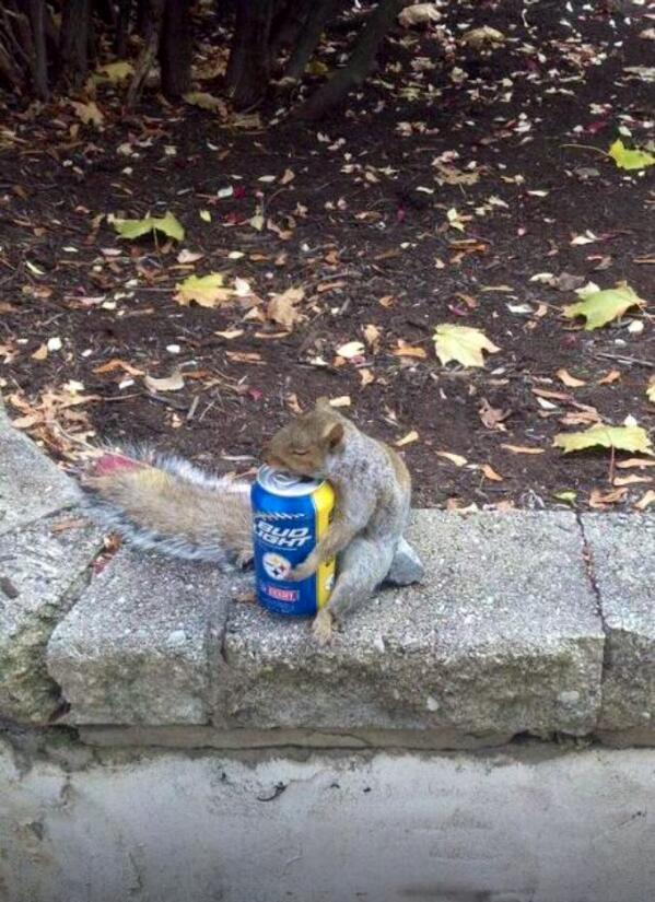 VT_Squirrel's tweet image. All this snow makes me realize one thing: I miss tailgating #HokieFootball is nuts