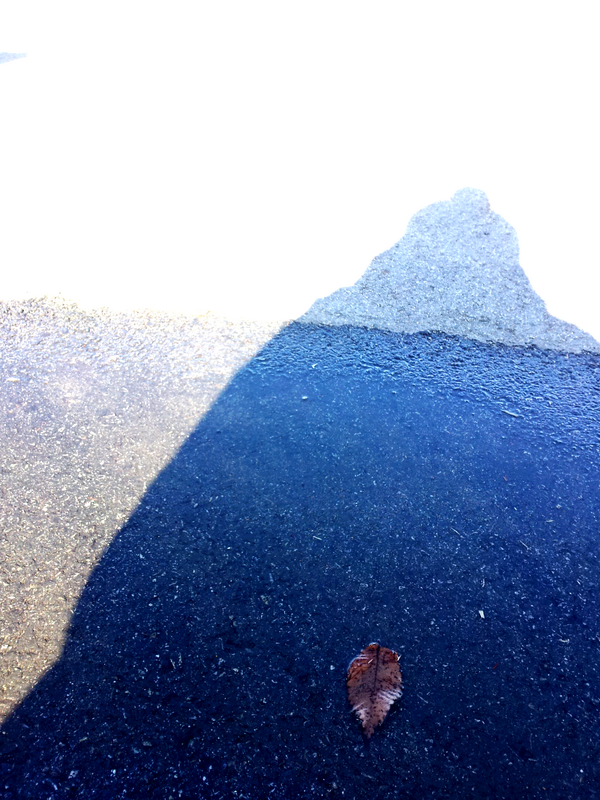 damisol20's tweet photo. 가슴안에 나뭇잎 배 하나를 띄우던날에...
지금은 어디쯤 가고 있을까?? http://t.co/taTk5yKItx