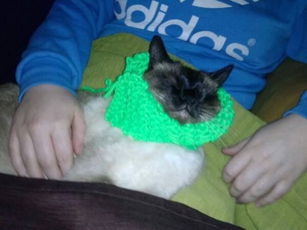 CarmenMacoli's tweet photo. Para el frio, una buena bufanda echa por lusi jajajajaja #macoliii http://t.co/68x9WpY17U