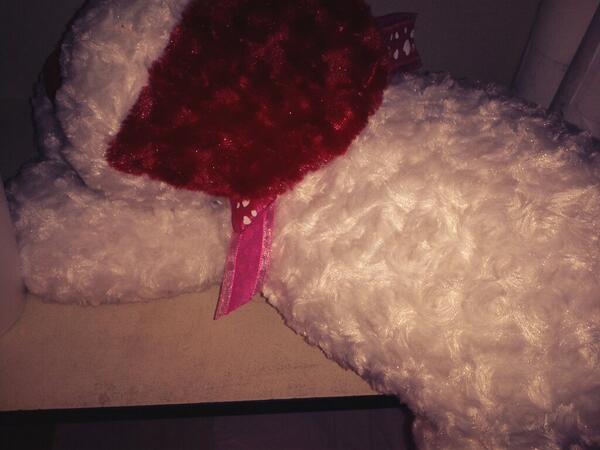 Snowflake2013Bh's tweet image. Going on my brothers grave !
#ILoveyoubigbrother