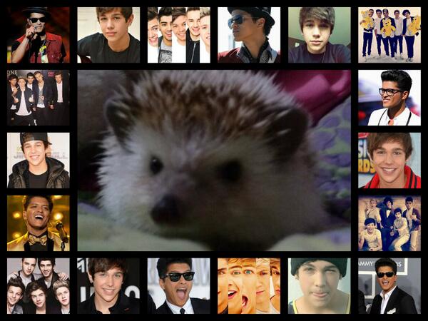 BenitoPerry3 tweet picture