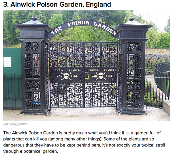 Well, I think I know where I'm going for my next vacation. #AlnwickPoisonGarden