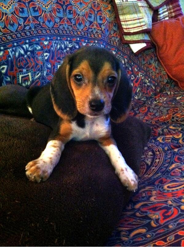 #tbt me when I was a young lad!