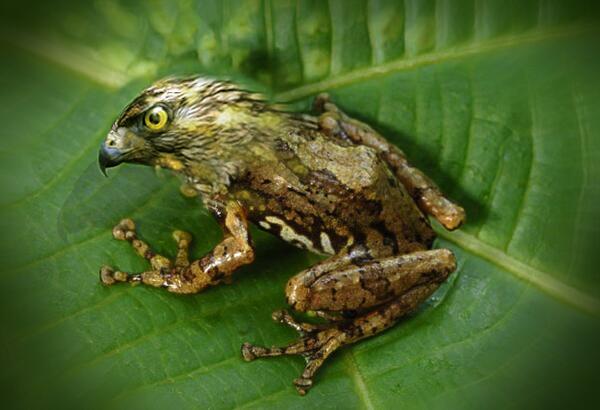 studiochang tweet picture