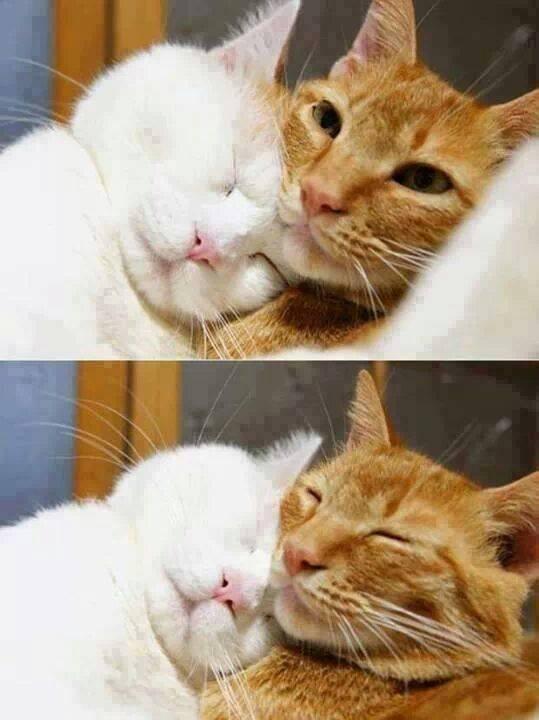 _Bini_Orang_'s tweet photo. Paling suke . <3 http://t.co/Tg1JG8xJmc