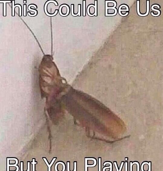 soosterling's tweet image. Stop it! 😲🙊😭😂😳 #Couldof #shouldof rofl