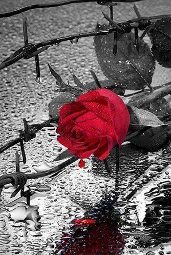 EFerzli's tweet photo. GOOD MORNING http://t.co/scjG7MhNTm