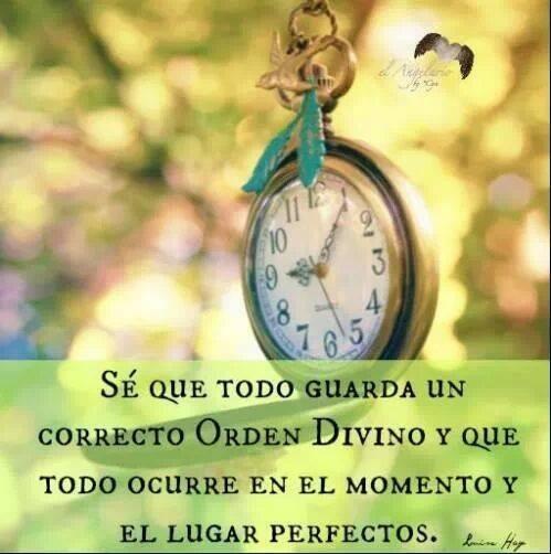 ClaudiAbrego's tweet photo. "Gracias Padre todo lo tienes cubierto en Orden Divino" http://t.co/68dIWEMYJ2