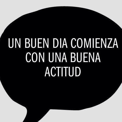 DesignBoxMx tweet picture