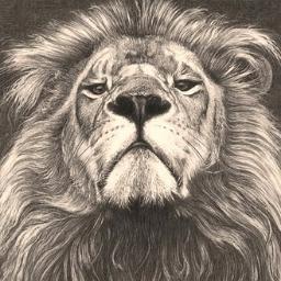 rockmadyan tweet media