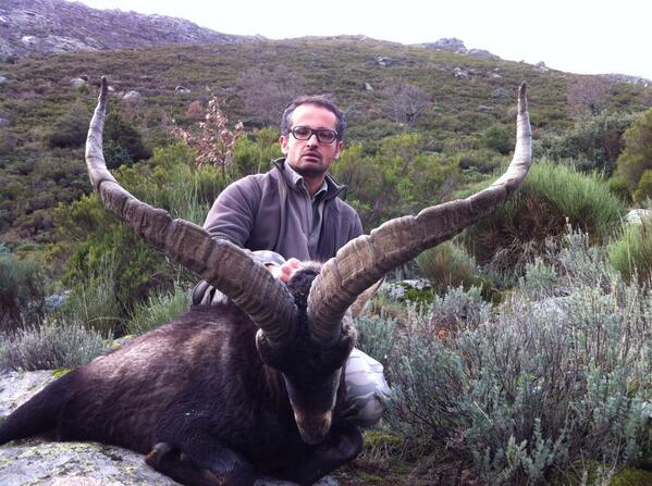 Nice Gredos ibex, and good hunt.