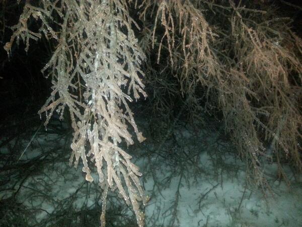 Gasilc112's tweet photo. @Svet_KanalA Ponoči veliko dela z Žledom, podrtih veliko dreves.
Avče 2014 http://t.co/mt2F9c3S3t