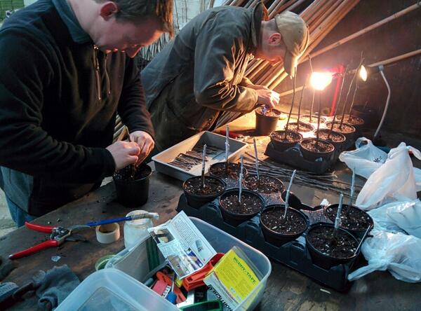 Beardsworths Nursery tweet media