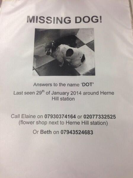<a href="/SouthLondonMums/">South London Mums</a> <a href="/S_London_Blog/">SouthLondonBlog</a> <a href="/MayorOfLambeth/">Mayor of Lambeth</a> <a href="/MetroUK/">Metro</a> PLEASE HELP US FIND HERNE HILL MISSING DOG 'DOT' PLEASE #RT